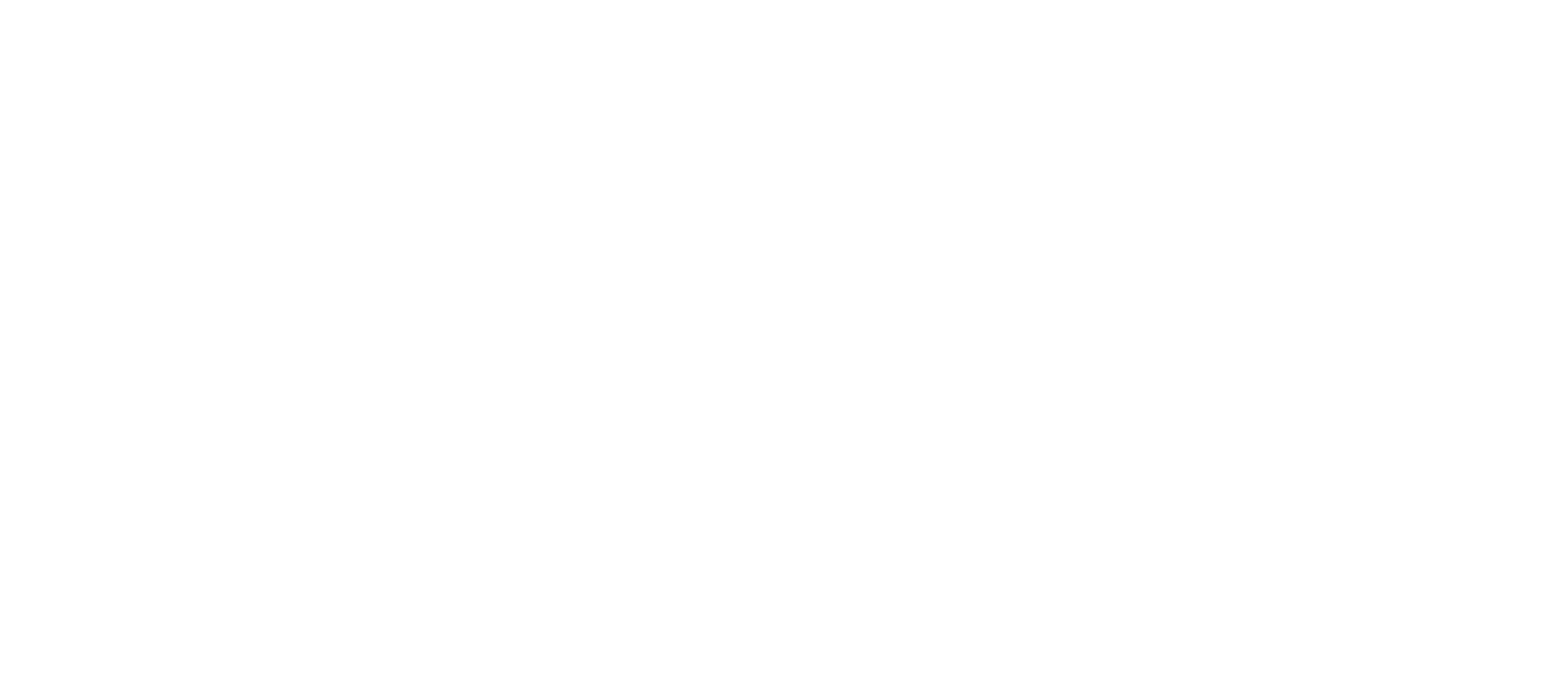 Lori Systems