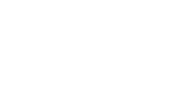 Portfolio company