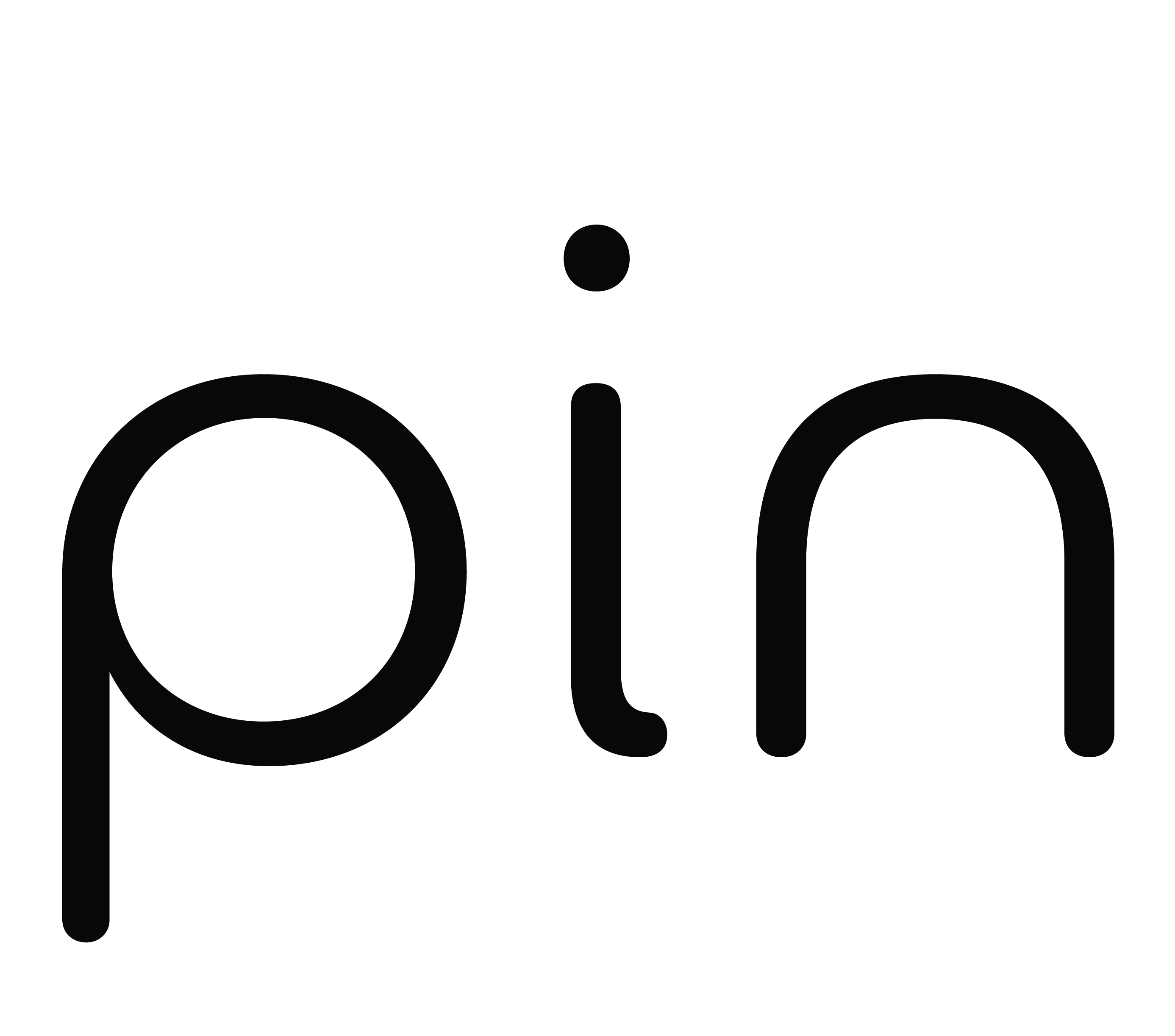 Pin